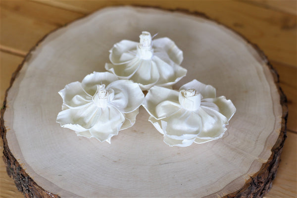 Sola Wood French Roses 2.5" - Pack of 6