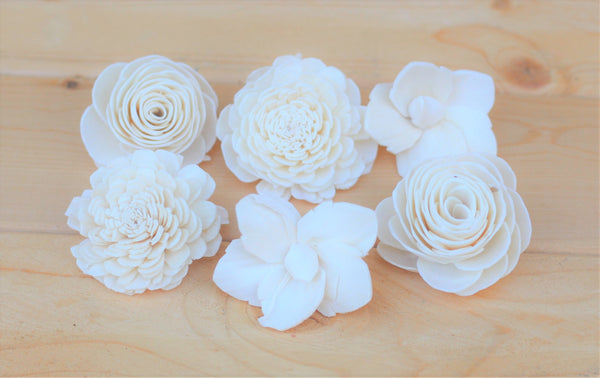 Assorted Mixed Sola Wood Flowers