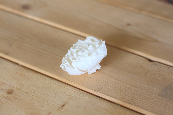 Sola Cabbage Roses 2.5"