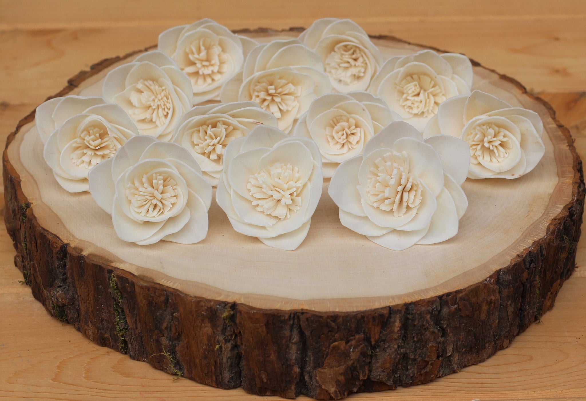 Sola Wood Camellia 2"   (Set of 12)