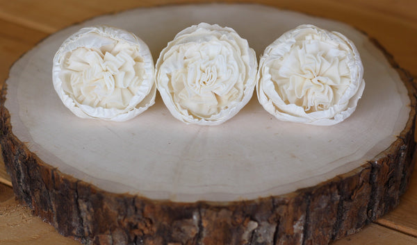 Sola Wood English Rose Juliet