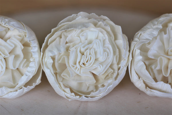 Sola Wood English Rose Juliet