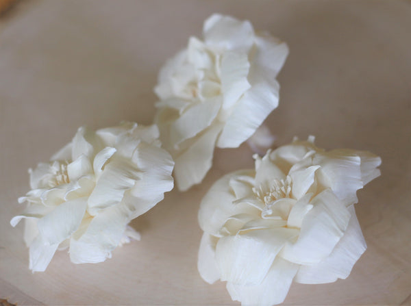 Sola Wood French Roses 2.5" - Pack of 6