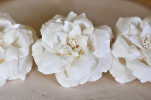 Sola Wood French Roses 2.5" - Pack of 6