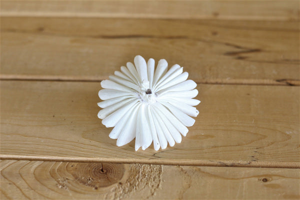 Sola Wood Sunflowers  2.5"