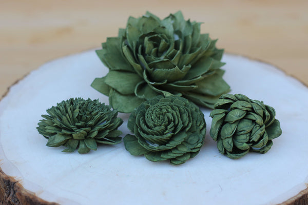 Olive Green Sola Wood Succulents