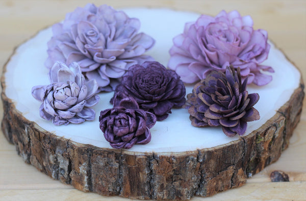 Purple Sola Wood Succulents