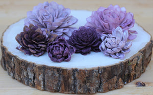 Purple Sola Wood Succulents