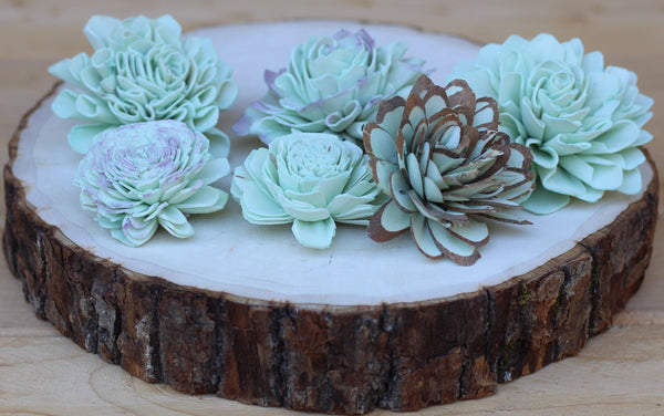 Robins Egg Blue Sola Wood Succulents