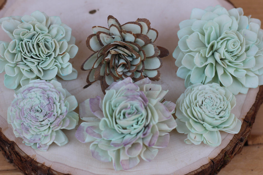 succulents with blue flowers Robins Egg Blue Sola Wood Succulents – The Sola Flower Store