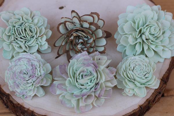 Robins Egg Blue Sola Wood Succulents