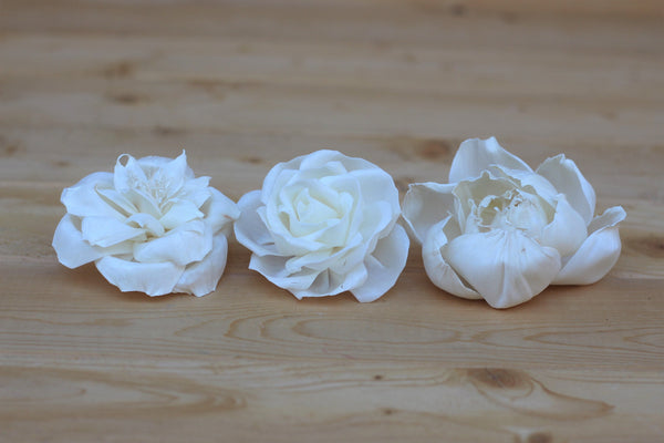 Assorted Sola Wood Flowers 2.5" - 3" -  Set of 12