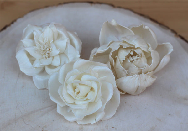 Assorted Sola Wood Flowers 2.5" - 3" -  Set of 12