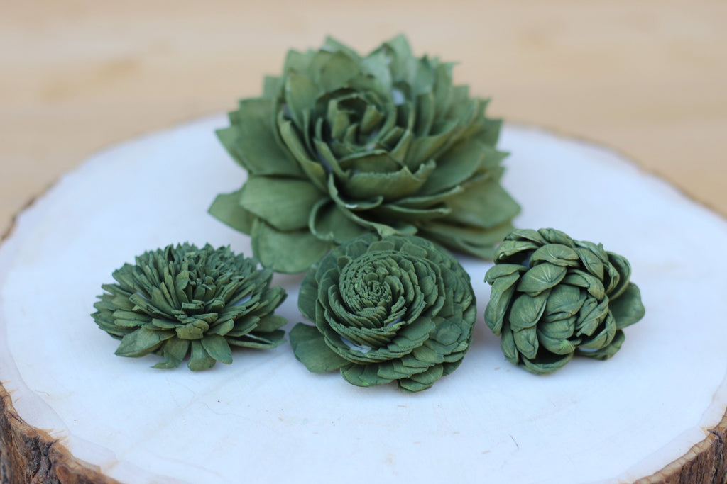 sola succulents Olive Green Sola Wood Succulents – The Sola Flower Store