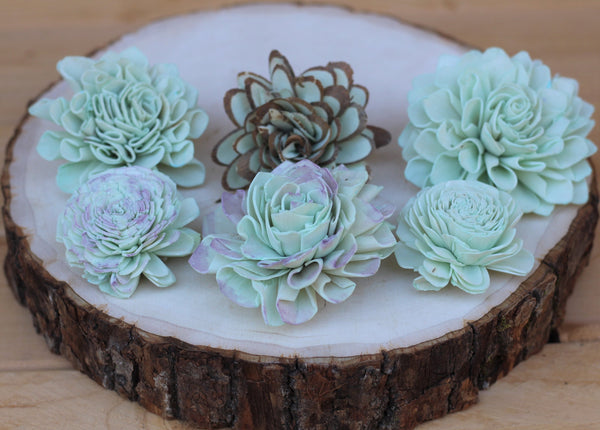 Robins Egg Blue Sola Wood Succulents