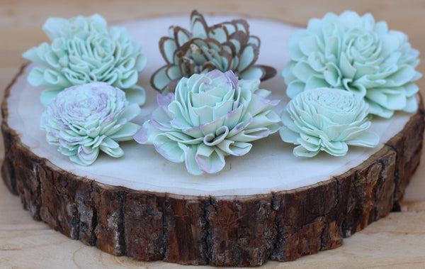 Robins Egg Blue Sola Wood Succulents