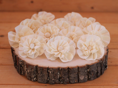 Sola Wood Blossom Flowers 2.5"