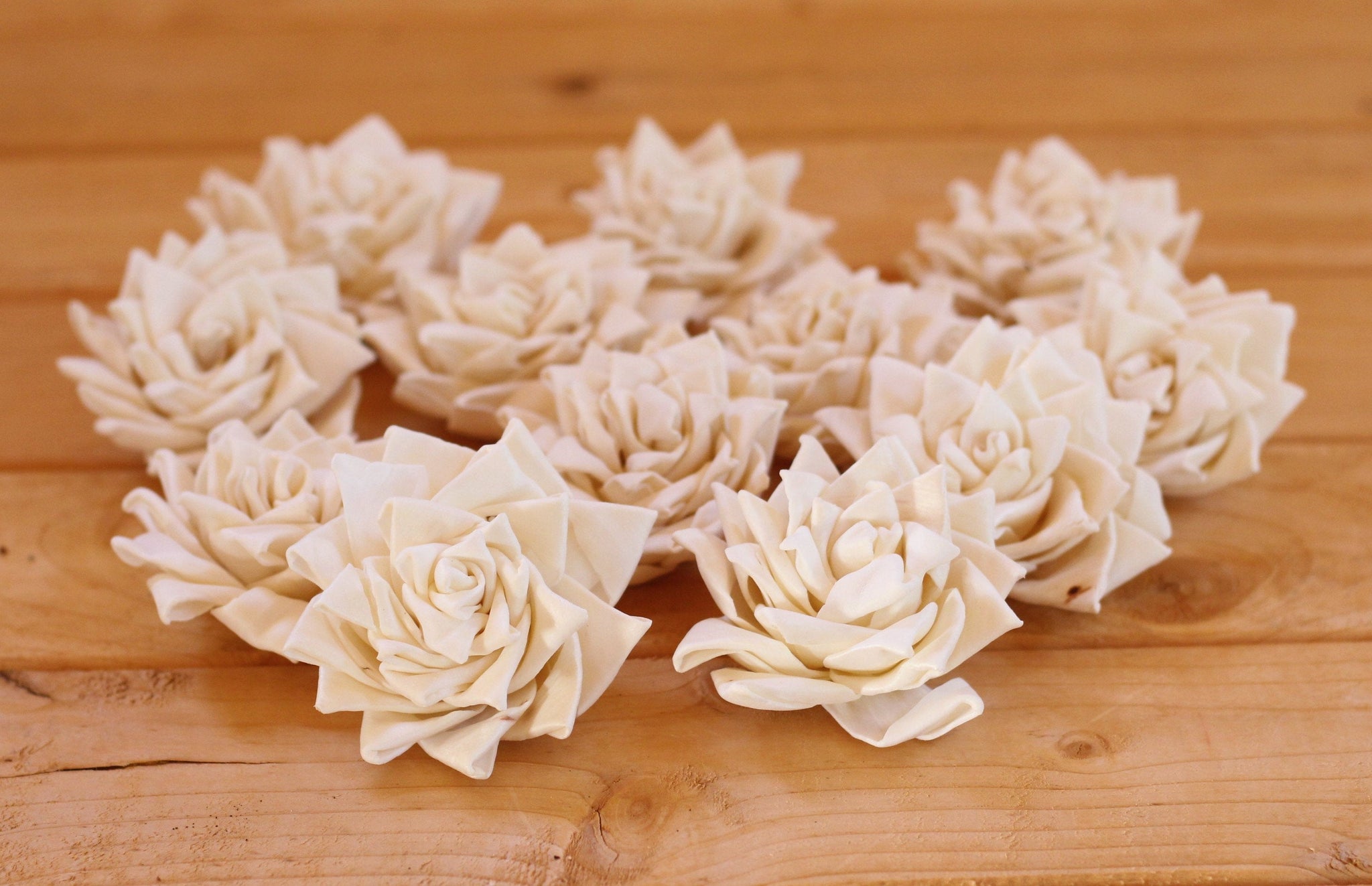 sola wood succulents Sola Wood Succulents 2.5" 25 Flowers