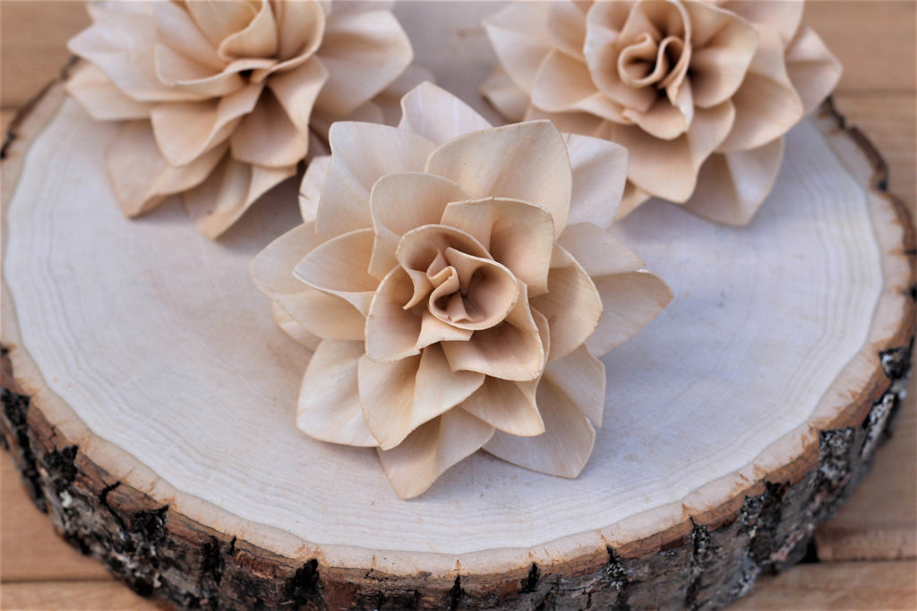 dried tiger lily Large Champagne Sola Wood Tiger Lily 4" ( Set of 3 ) – The Sola Flower Store