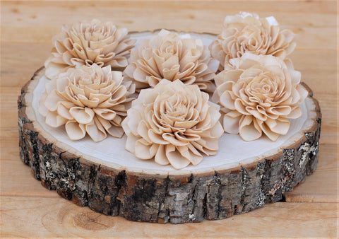 Champagne Sola Wood Dahlias 3"