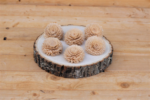 Champagne Chrysanthemum Sola Wood Flowers  2.5"