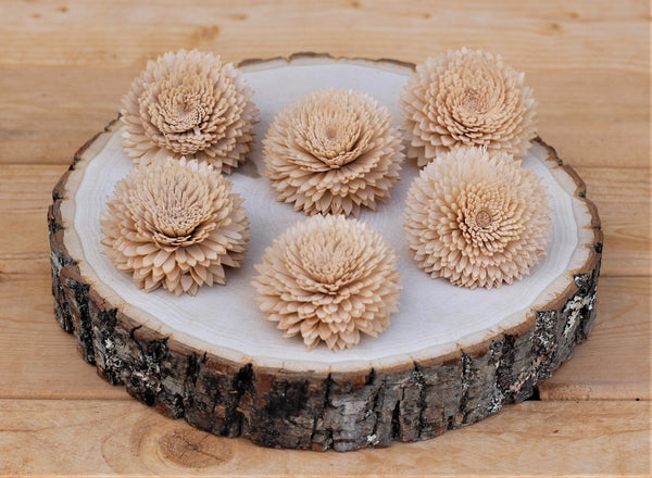 Champagne Chrysanthemum Sola Wood Flowers  2.5"