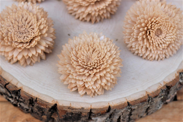 Champagne Chrysanthemum Sola Wood Flowers  2.5"