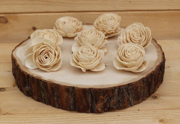 Champagne Sola Wood English Roses ( Set of 12 )