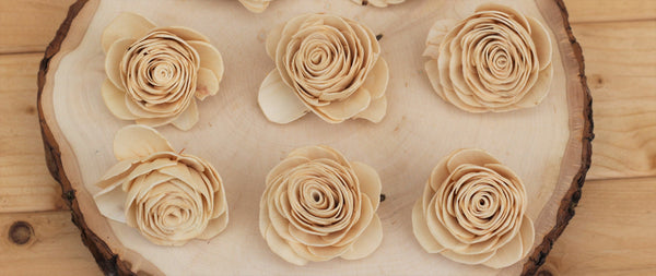 Champagne Sola Wood English Roses ( Set of 12 )