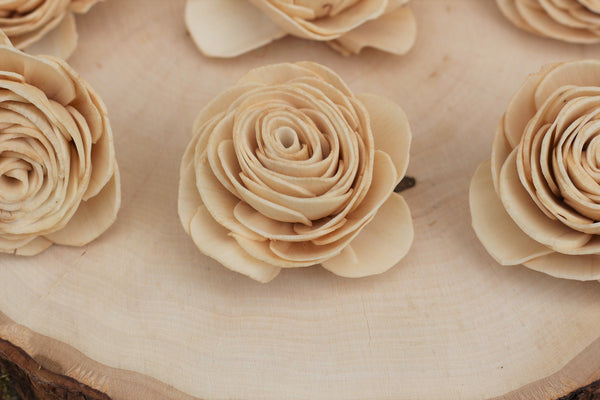 Champagne Sola Wood English Roses ( Set of 12 )