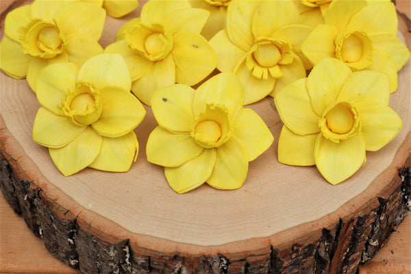 Yellow Sola Wood Trumpet Daffodil Flowers 2"