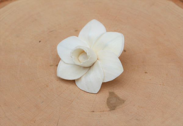 Sola Wood Trumpet Daffodil Flowers 2"