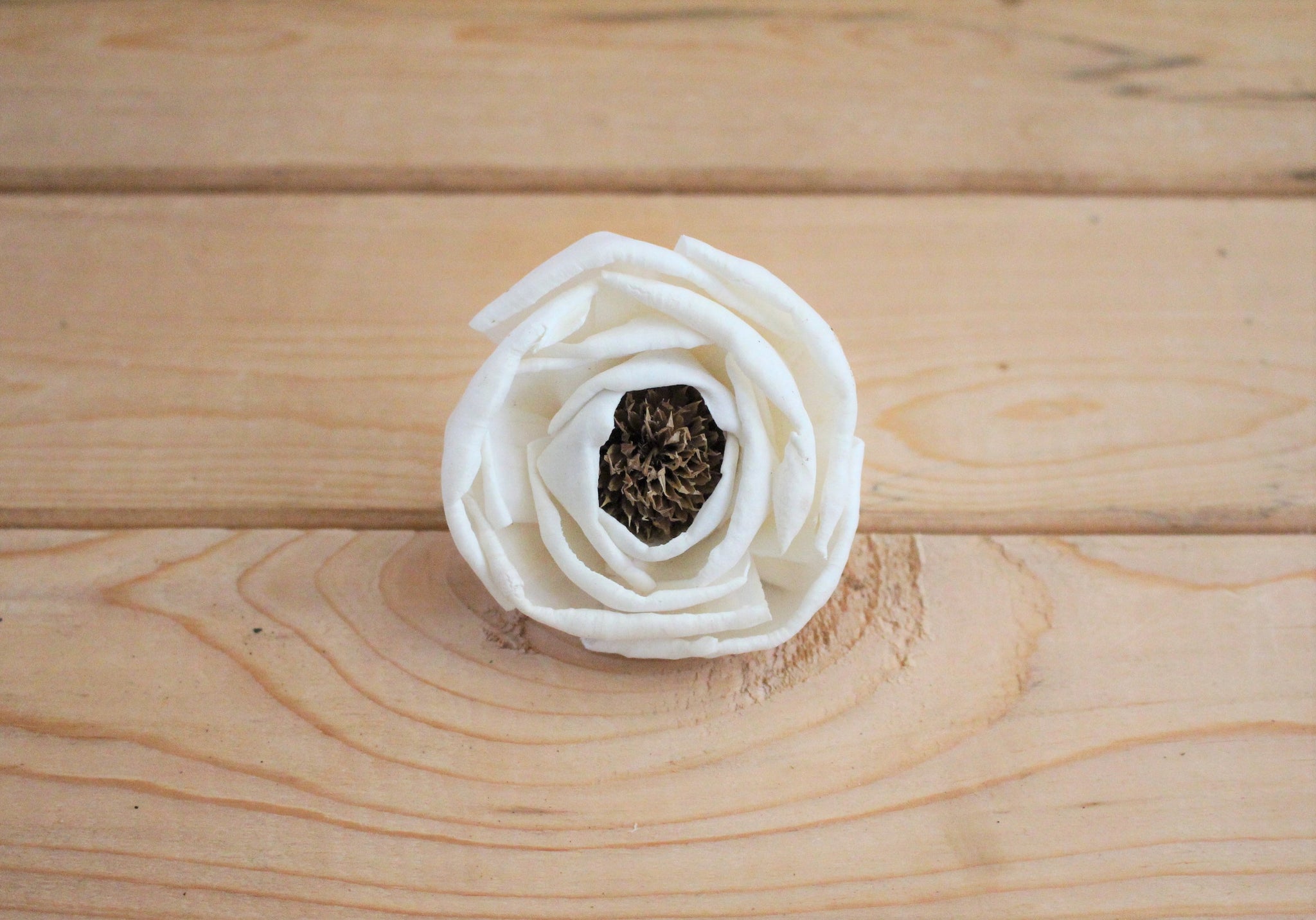 Sola Wood Anemones 2.5"
