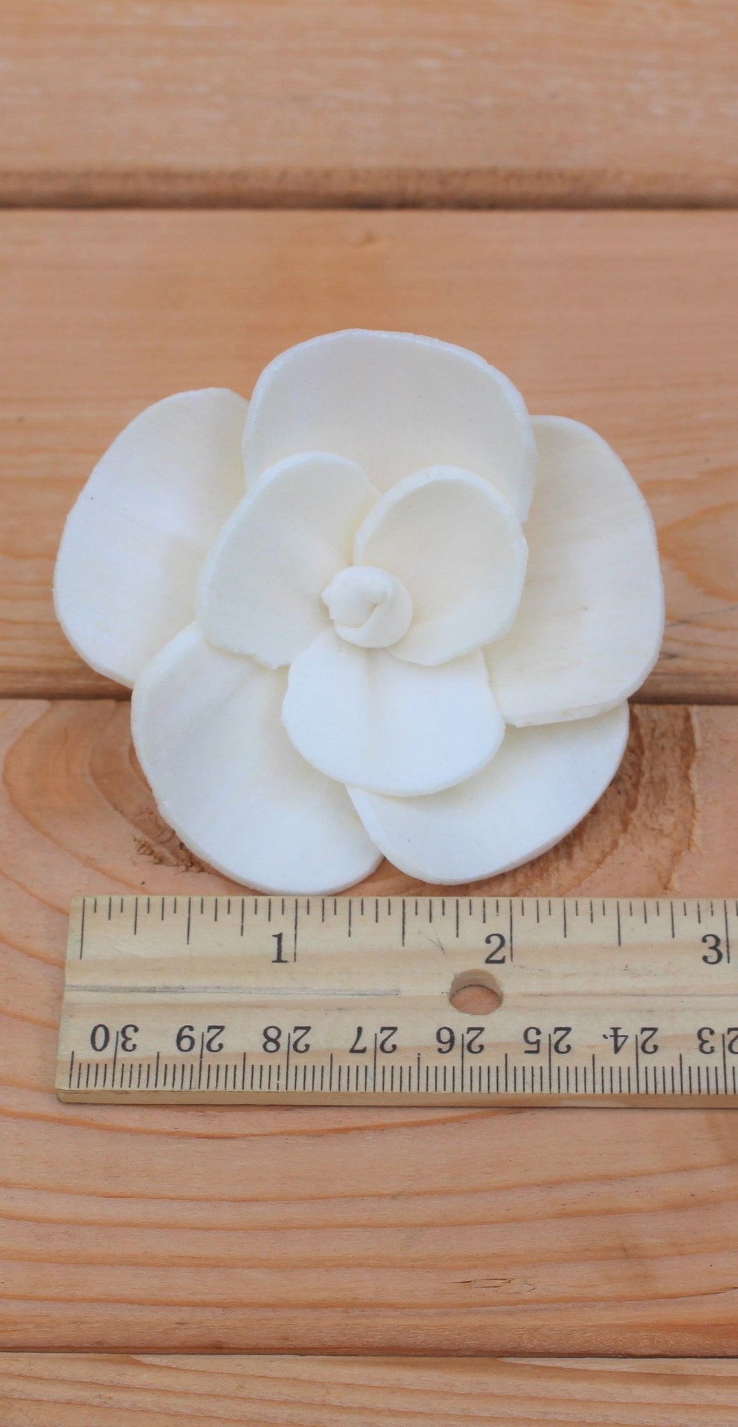 Sola Wood Pansy Flowers 2.5"