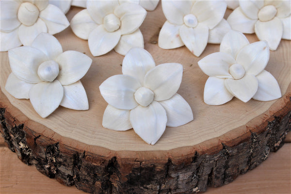 Sola Wood Plumeria Flowers 2"