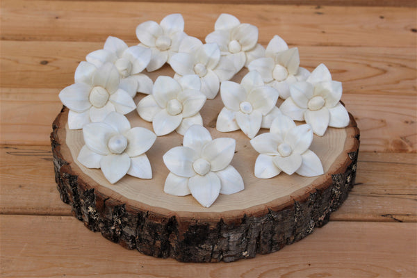 Sola Wood Plumeria Flowers 2"