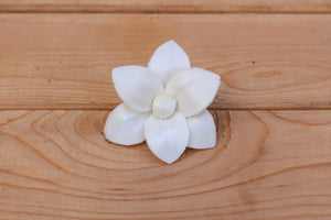 Sola Wood Plumeria Flowers 2"