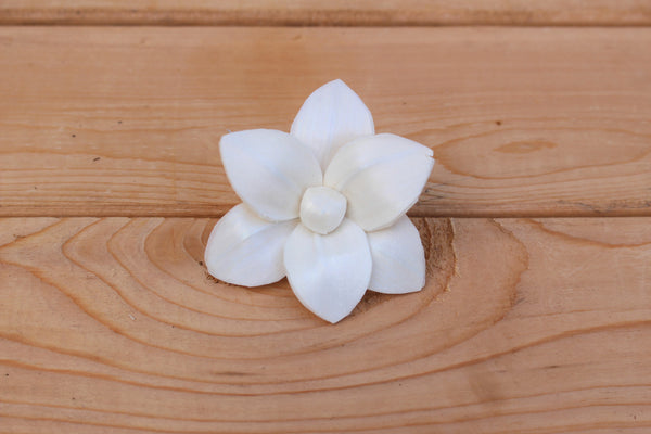 Sola Wood Plumeria Flowers 2"