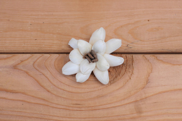 Sola Wood Starburst Flowers 2"