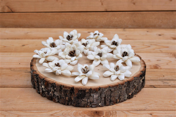 Sola Wood Starburst Flowers 2"