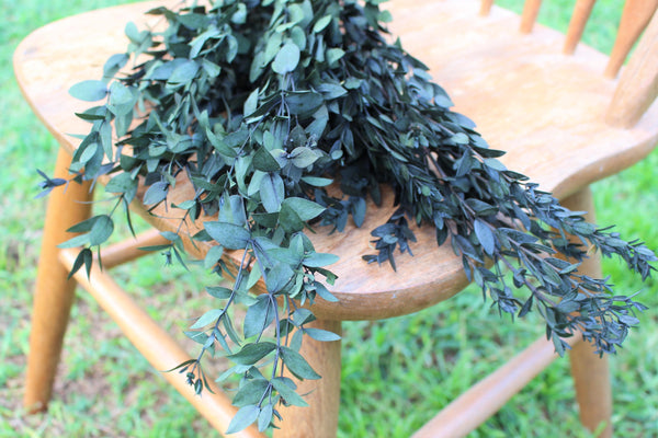 Eucalyptus: Real Preserved Dark Green Teardrop Eucalyptus, preserved parvafolia eucalyptus