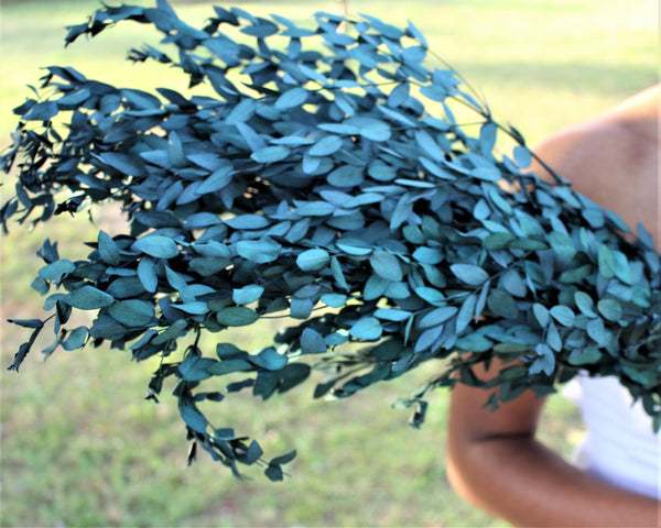 Real Preserved Blue Green Teardrop Eucalyptus, preserved parvafolia eucalyptus