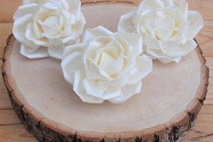 Large Sola Wedding Roses 4"