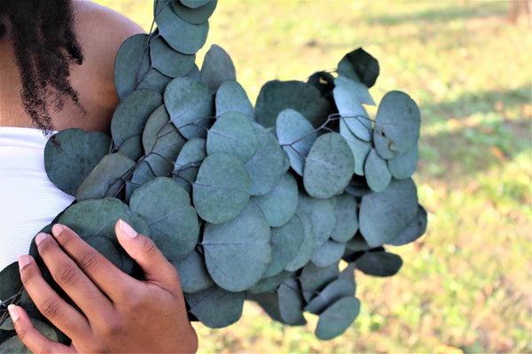 Preserved Green Silver Dollar Eucalyptus