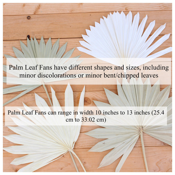 Gold Sand Sun Palm Leaf/ Home Decor/ Cake Topper
