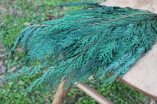Preserved Cedar Port Orford, Fragrant