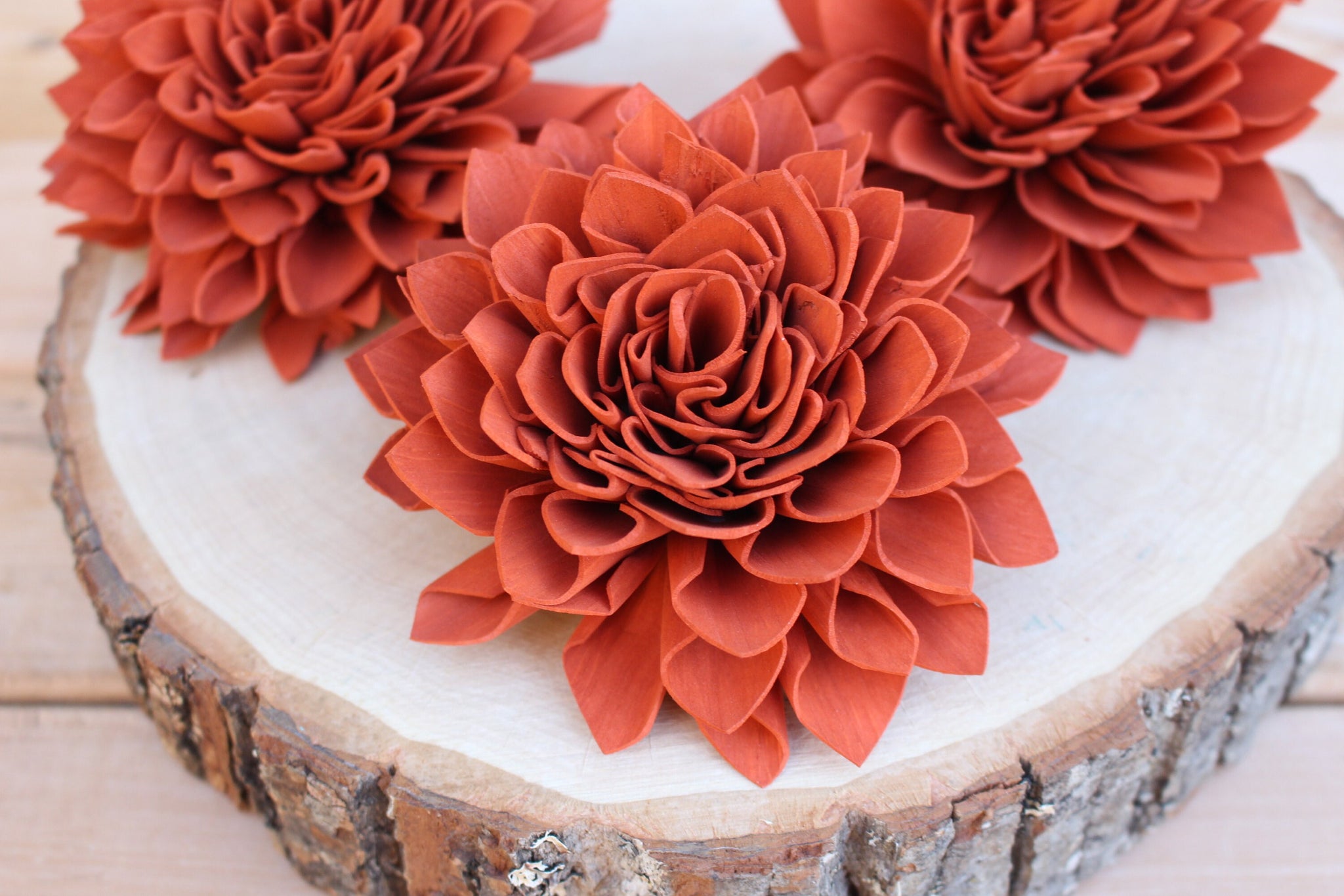 Terracotta Sola Wood Dahlias 4”