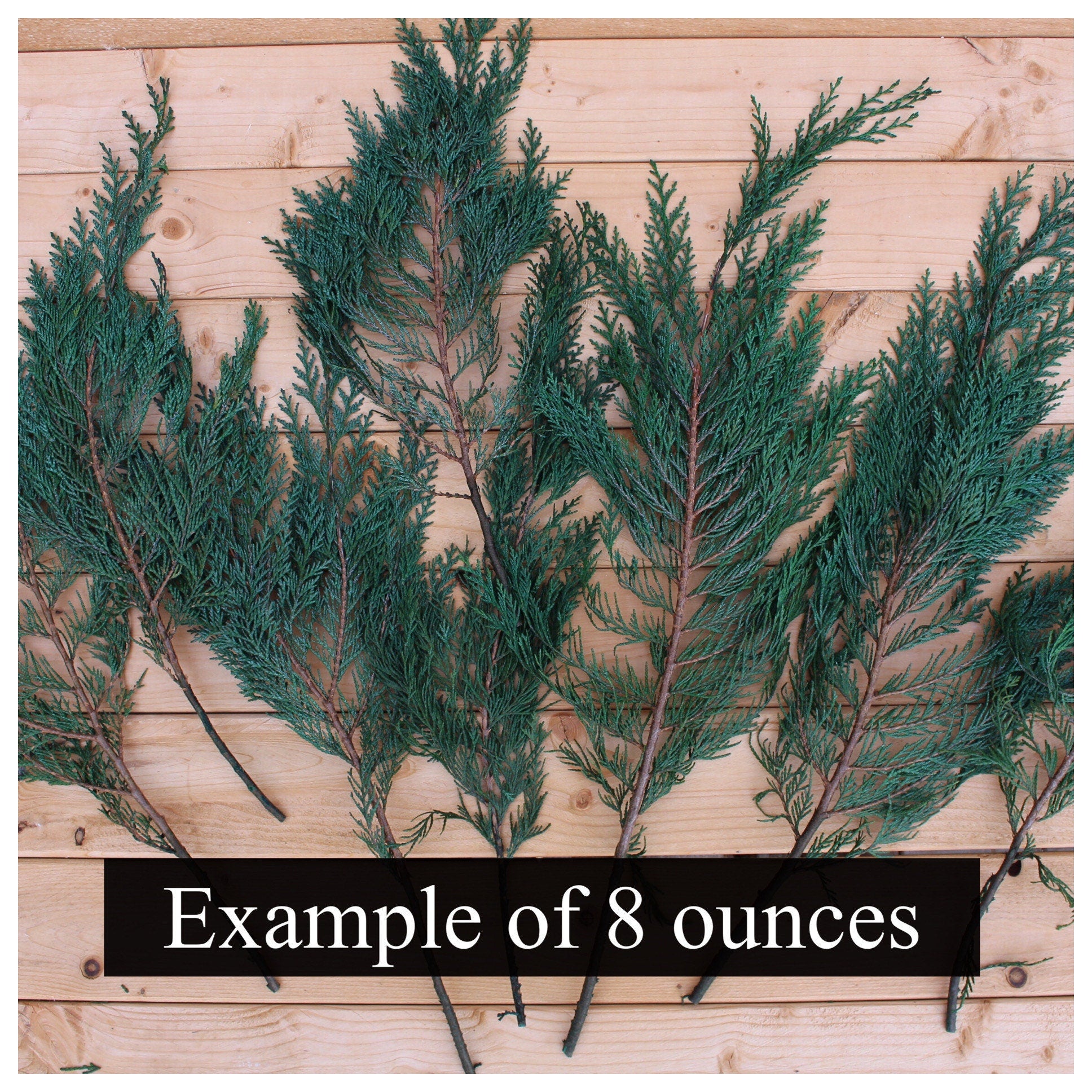 Preserved Cedar Port Orford, Fragrant