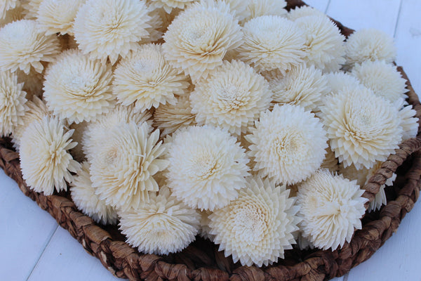 Sola Wood Chrysanthemum 2.5"