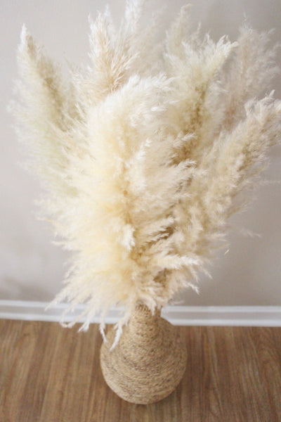 Extra Large Fluffy Natural Beige Pampas Grass | Dried Flowers For Interior Decoration | Wedding Floral Decorations | Jumbo Pampas Grass